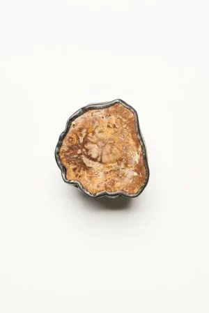 Monies Ring: petrified wood, copper