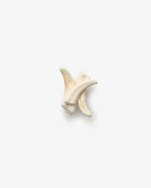 Monies Ring: warthog tooth, leather